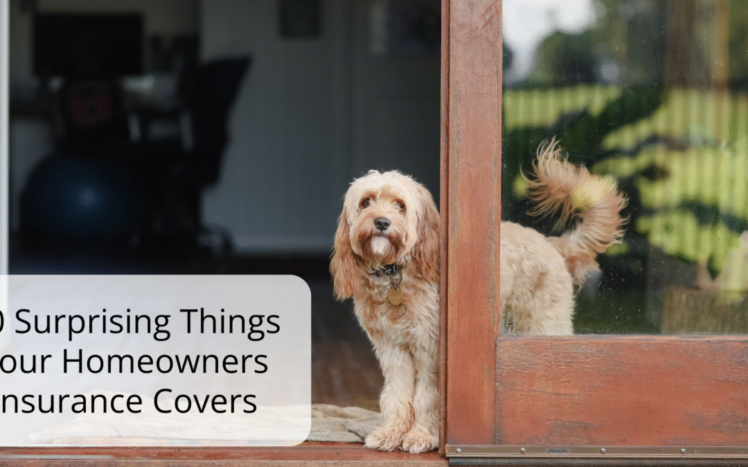 10 Surprising Things Your Homeowners Insurance Covers