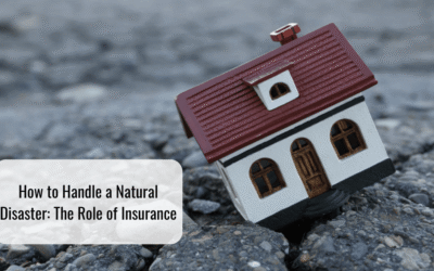 How to Handle a Natural Disaster: The Role of Insurance