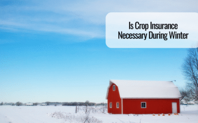 Is Crop Insurance Necessary During Winter