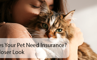 Does Your Pet Need Insurance? A Closer Look